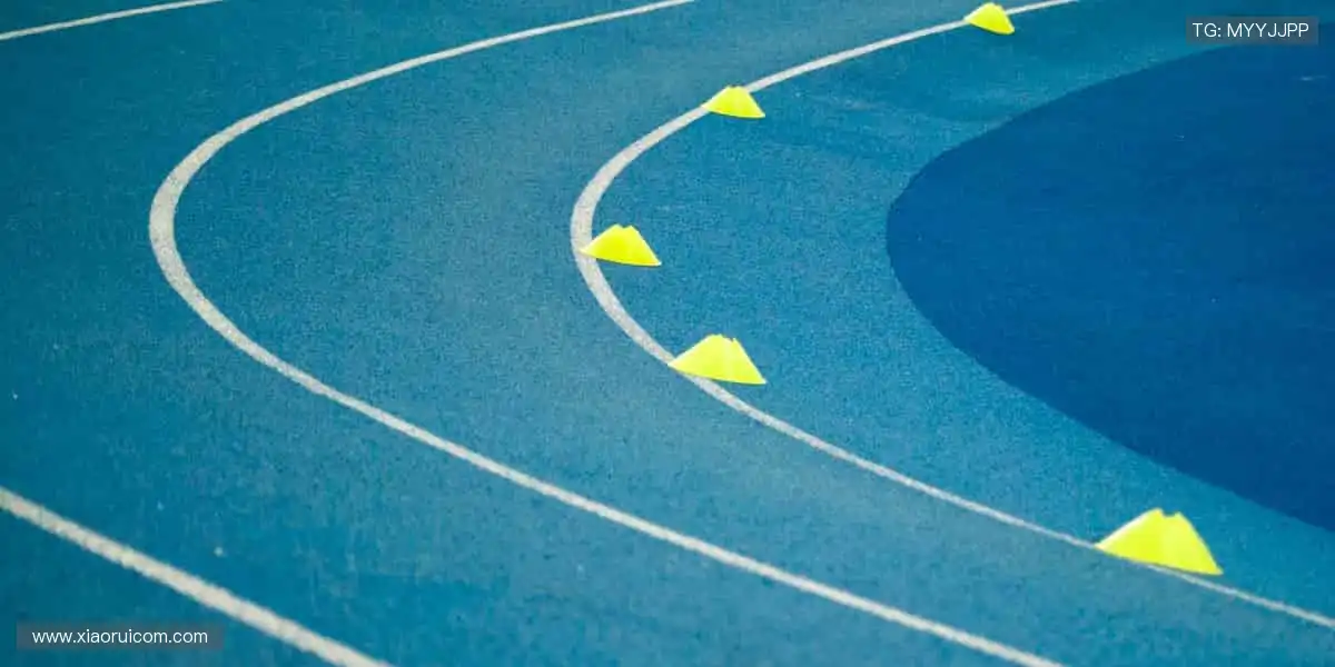 一键开启热血赛事，见证每一个荣耀时刻！🏆